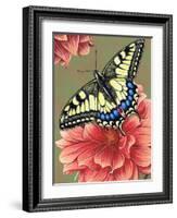 Yellow Swallowtail-Marilyn Barkhouse-Framed Art Print
