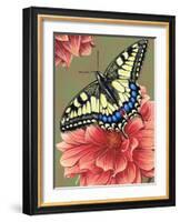 Yellow Swallowtail-Marilyn Barkhouse-Framed Art Print