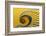 Yellow swirl-Greetje van Son-Framed Photographic Print