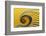 Yellow swirl-Greetje van Son-Framed Photographic Print