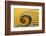 Yellow swirl-Greetje van Son-Framed Photographic Print