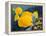 Yellow Tangs-Durwood Coffey-Framed Premier Image Canvas