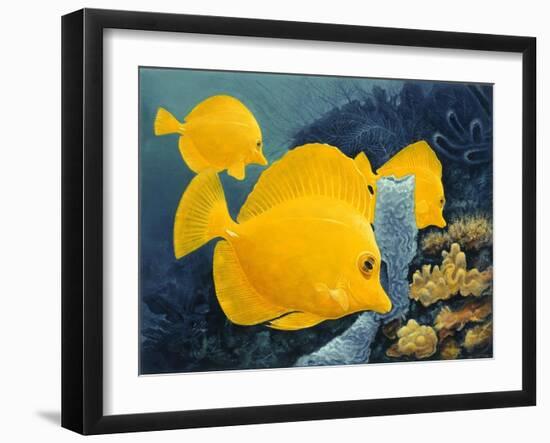 Yellow Tangs-Durwood Coffey-Framed Giclee Print