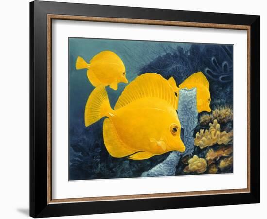 Yellow Tangs-Durwood Coffey-Framed Giclee Print