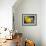 Yellow Tangs-Durwood Coffey-Framed Giclee Print displayed on a wall