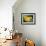 Yellow Tangs-Durwood Coffey-Framed Giclee Print displayed on a wall