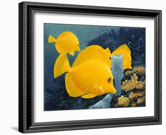 Yellow Tangs-Durwood Coffey-Framed Giclee Print