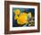 Yellow Tangs-Durwood Coffey-Framed Giclee Print