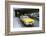 Yellow taxi cab at airport-null-Framed Photographic Print