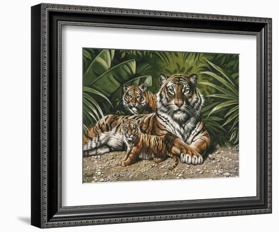 Yellow Tiger with Cubs-unknown Ampel-Framed Art Print