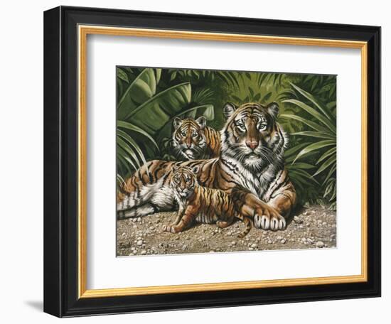 Yellow Tiger with Cubs-unknown Ampel-Framed Art Print