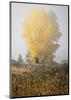 Yellow Tree and Teasel-David Winston-Mounted Giclee Print