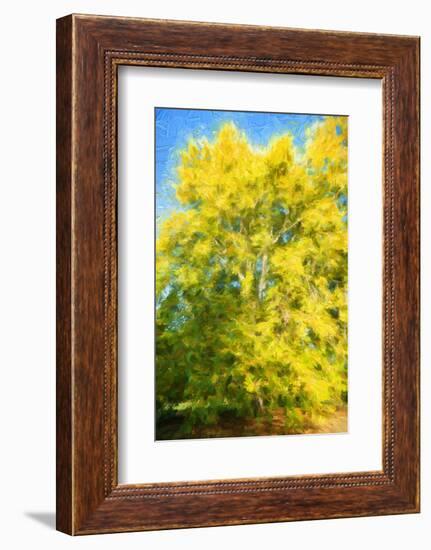 Yellow Tree-Philippe Sainte-Laudy-Framed Photographic Print