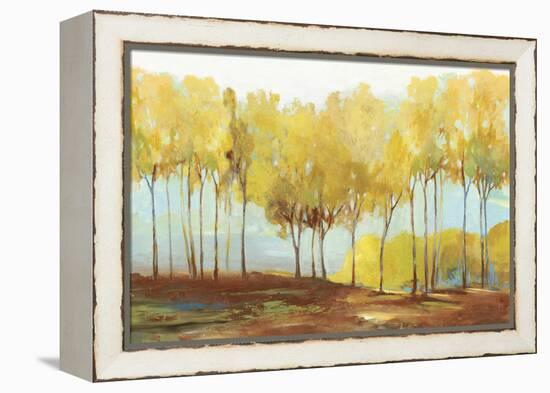 Yellow trees-Allison Pearce-Framed Stretched Canvas