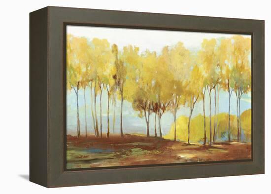 Yellow trees-Allison Pearce-Framed Stretched Canvas