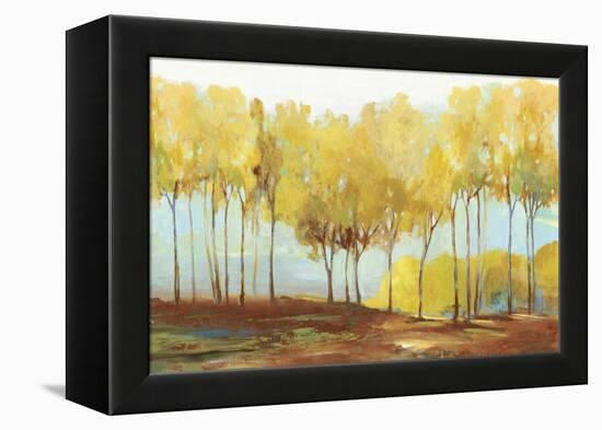 Yellow trees-Allison Pearce-Framed Stretched Canvas