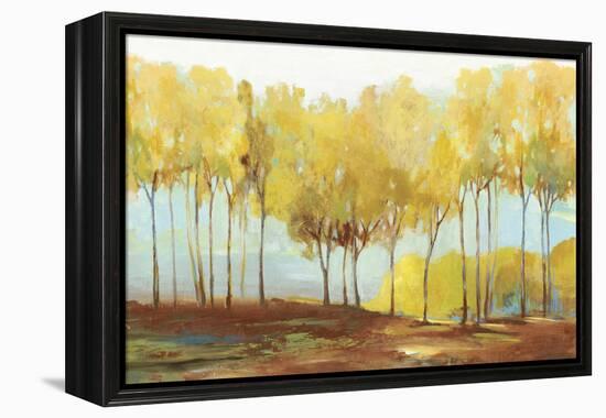 Yellow trees-Allison Pearce-Framed Stretched Canvas