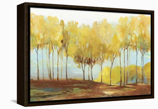 Yellow trees-Allison Pearce-Framed Stretched Canvas