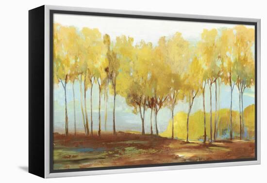 Yellow trees-Allison Pearce-Framed Stretched Canvas