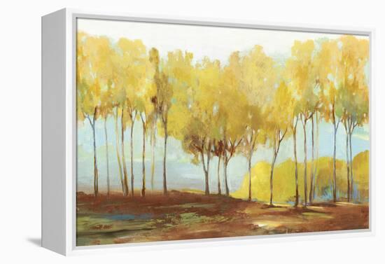 Yellow trees-Allison Pearce-Framed Stretched Canvas