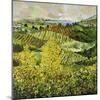 Yellow Trees-Allan P. Friedlander-Mounted Art Print