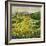 Yellow Trees-Allan P. Friedlander-Framed Art Print