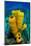 Yellow tube sponge a coral reef, Cayman Islands-Alex Mustard-Mounted Photographic Print