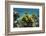 Yellow Tube Sponge, Lighthouse Reef, Atoll, Belize Barrier Reef, Belize-Pete Oxford-Framed Photographic Print