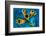 Yellow tube sponge on a coral reef, Cayman Islands-Alex Mustard-Framed Photographic Print