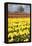 Yellow Tulip Field-Craig Tuttle-Framed Premier Image Canvas