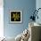 Yellow Tulip-Magda Indigo-Framed Photographic Print displayed on a wall