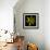 Yellow Tulip-Magda Indigo-Framed Photographic Print displayed on a wall