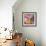 Yellow Tulip-Kim Parker-Framed Giclee Print displayed on a wall