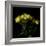 Yellow Tulips 1-Magda Indigo-Framed Photographic Print