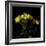 Yellow Tulips 1-Magda Indigo-Framed Photographic Print