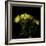 Yellow Tulips 1-Magda Indigo-Framed Photographic Print