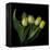 Yellow Tulips 3-Magda Indigo-Framed Premier Image Canvas