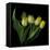 Yellow Tulips 3-Magda Indigo-Framed Premier Image Canvas
