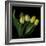 Yellow Tulips 3-Magda Indigo-Framed Photographic Print