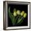 Yellow Tulips 3-Magda Indigo-Framed Photographic Print