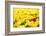 Yellow Tulips and One Red-Sofiaworld-Framed Photographic Print