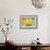 Yellow Tulips Art-Ata Alishahi-Framed Giclee Print displayed on a wall
