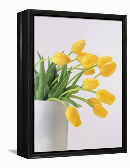 Yellow Tulips I, 1999-Norman Hollands-Framed Premier Image Canvas