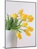 Yellow Tulips I, 1999-Norman Hollands-Mounted Photographic Print