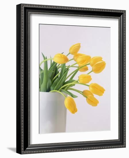 Yellow Tulips I, 1999-Norman Hollands-Framed Photographic Print