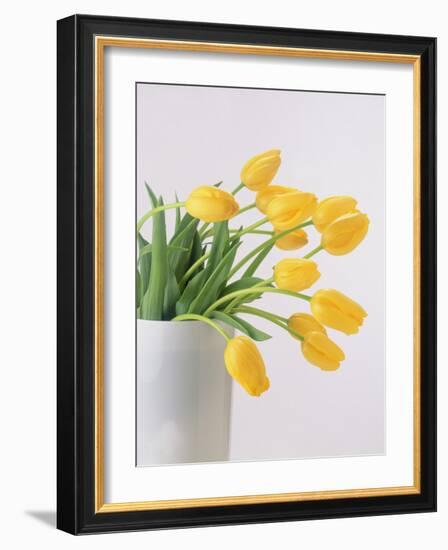 Yellow Tulips I, 1999-Norman Hollands-Framed Photographic Print