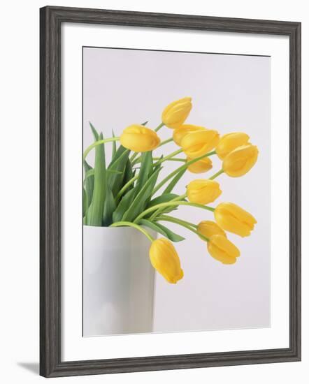 Yellow Tulips I, 1999-Norman Hollands-Framed Photographic Print