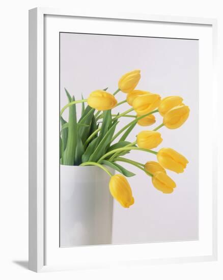 Yellow Tulips I, 1999-Norman Hollands-Framed Photographic Print