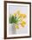 Yellow Tulips I, 1999-Norman Hollands-Framed Photographic Print