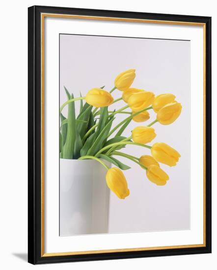 Yellow Tulips I, 1999-Norman Hollands-Framed Photographic Print